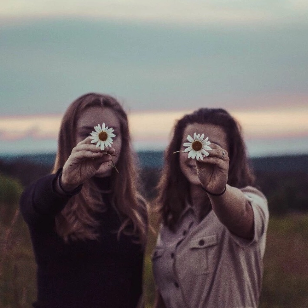 Meet your Posher, Joy